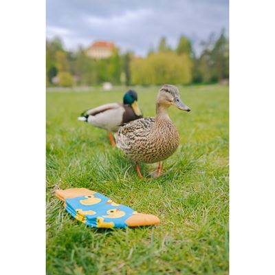 Ponožky pánske vtipné DEPATE s obrázkami KAČÍN
