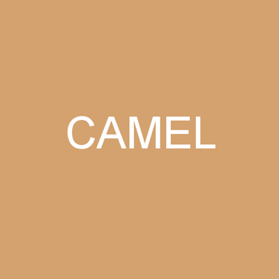Pančuchové nohavice NYLON tights 20 DEN CAMEL