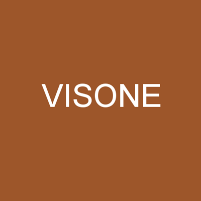 Pančuchové nohavice NYLON tights 20 DEN VISONE